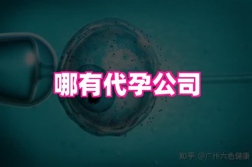nub孕网 2